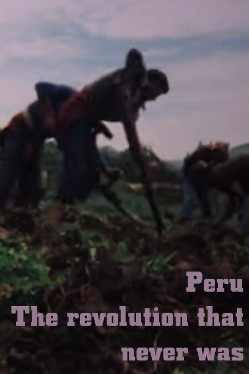 Peru: The Revolution that never was 1979 official movie poster