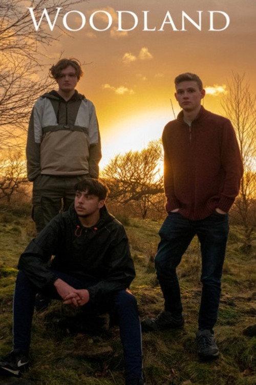 Woodland 2022 official movie poster
