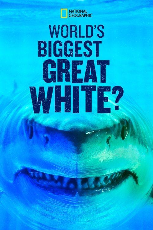 World's Biggest Great White? 2019 official movie poster