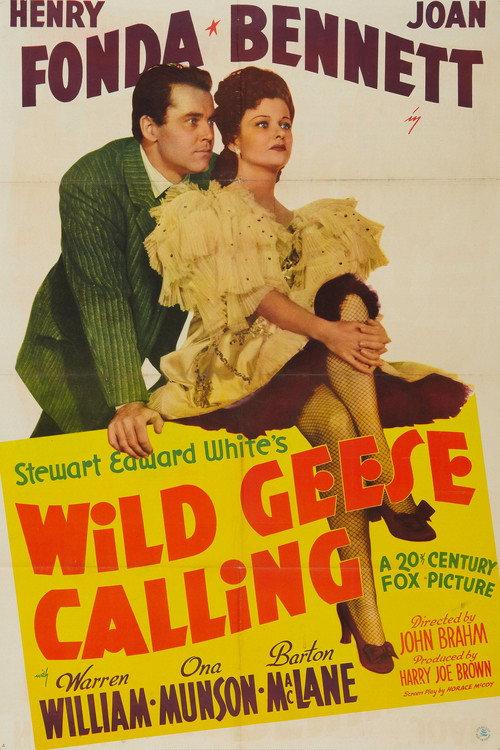 Wild Geese Calling 1941 official movie poster