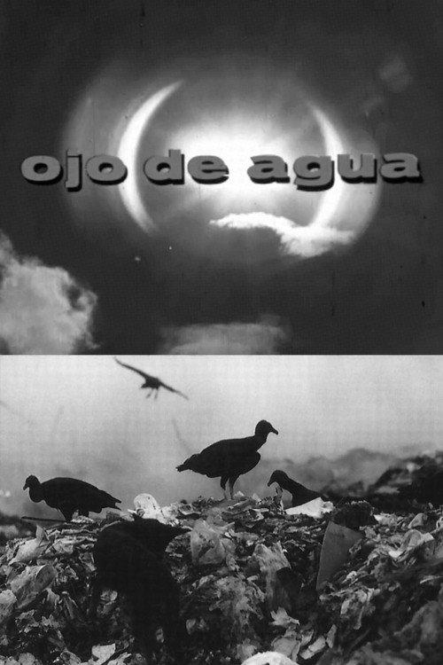 Ojo de Agua 1972 official movie poster