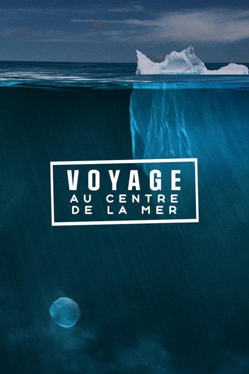 Voyage au centre de la mer 2013 official movie poster