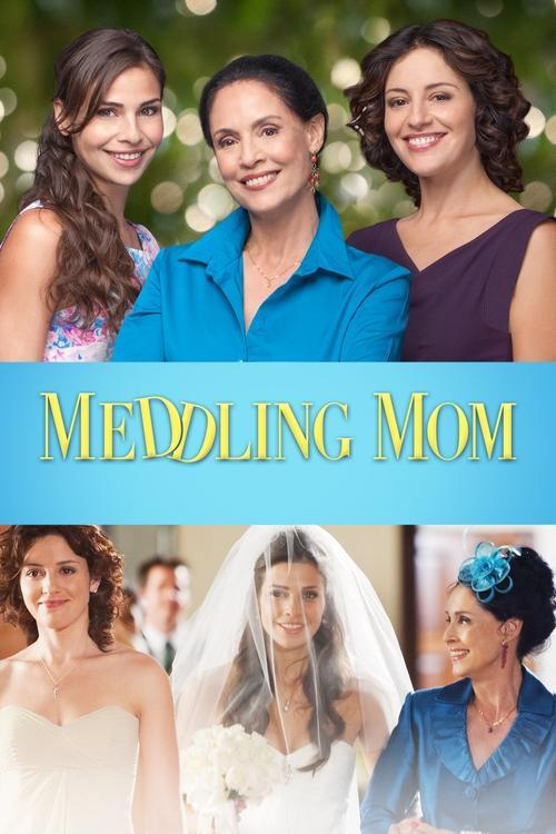 Meddling Mom 2013 official movie poster