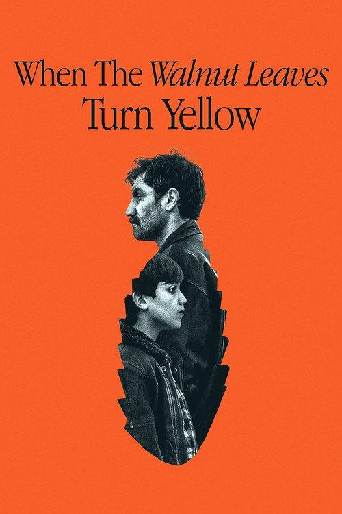 When the Walnut Leaves Turn Yellow 2024 official movie poster