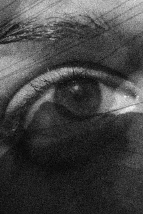 Looking through a Glass Darkly 2023 official movie poster