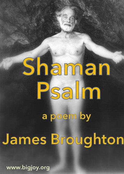 Shaman Psalm 1981 official movie poster