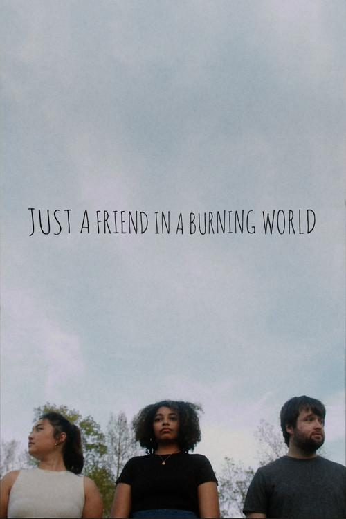 Just a Friend In a Burning World  official movie poster