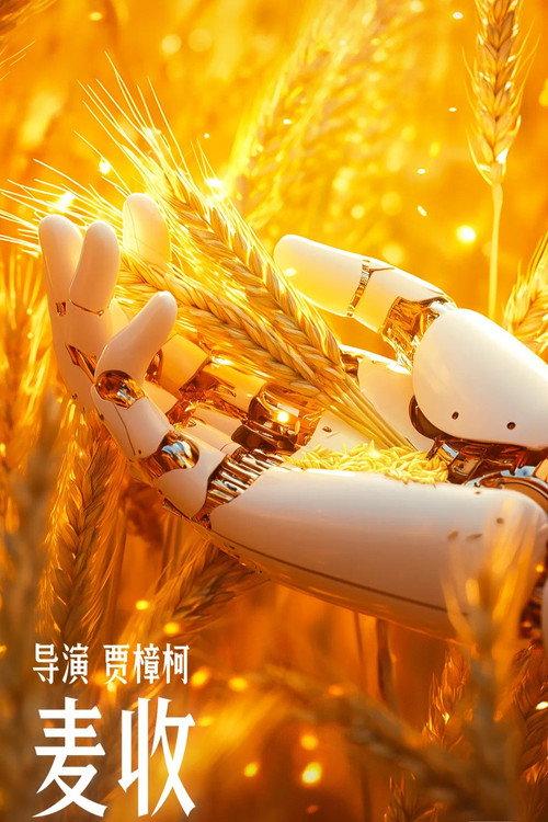 Wheat Harvest 2024 official movie poster