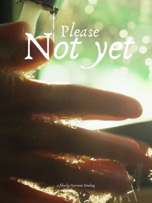 Please, Not Yet 2025 official movie poster