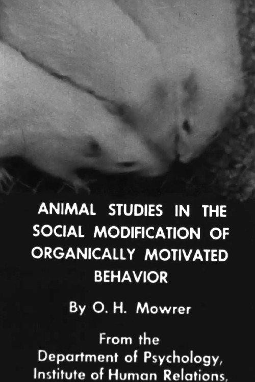 Animal Studies in the Social Modification of Organically Motivated Behavior 1938 official movie poster