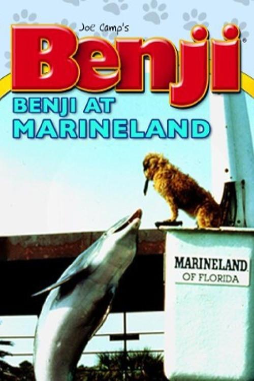 Benji (Takes a Dive) at Marineland 1981 official movie poster