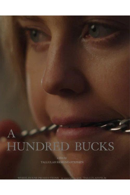 A Hundred Bucks 2025 official movie poster