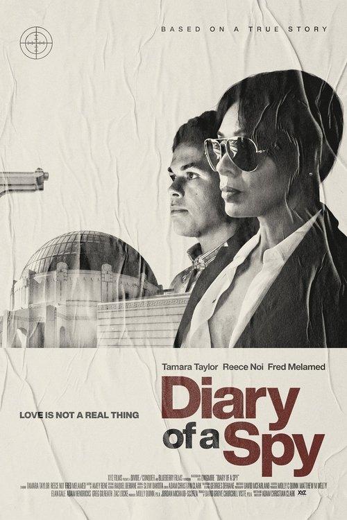 Diary of a Spy 2022 official movie poster