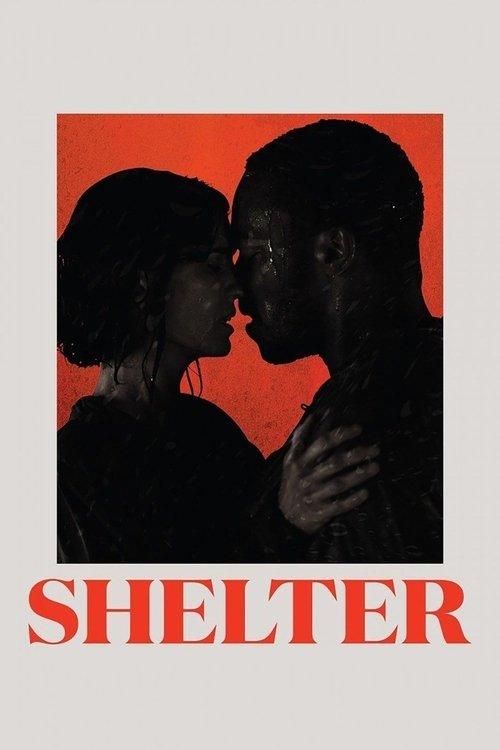 Shelter 2014 official movie poster