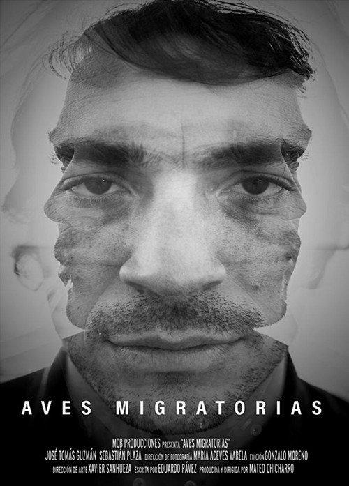 Migratory Birds 2018 official movie poster