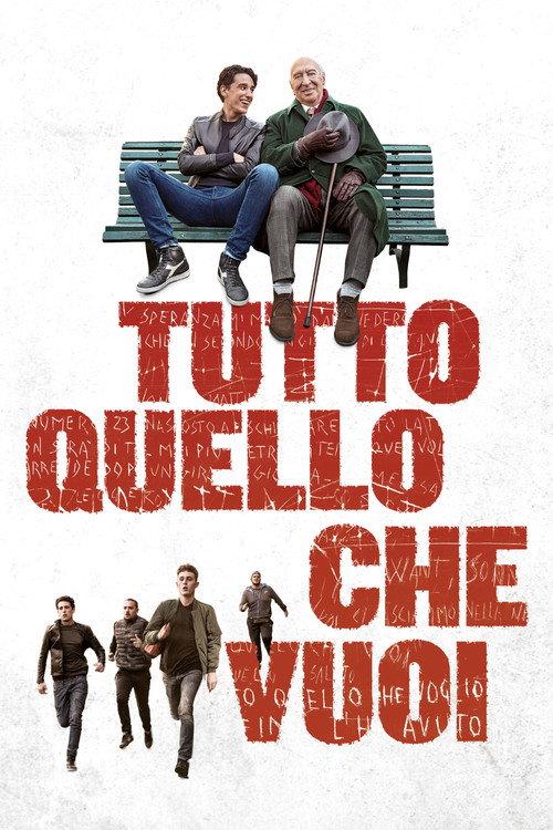 Everything You Want 2017 official movie poster