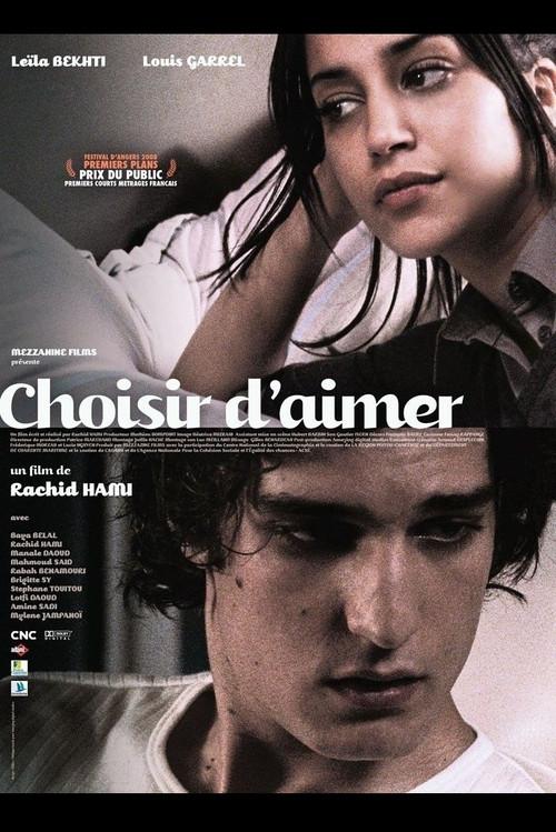 Choosing Love 2008 official movie poster