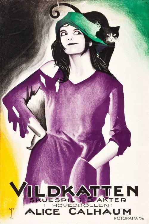 Little Wildcat 1922 official movie poster