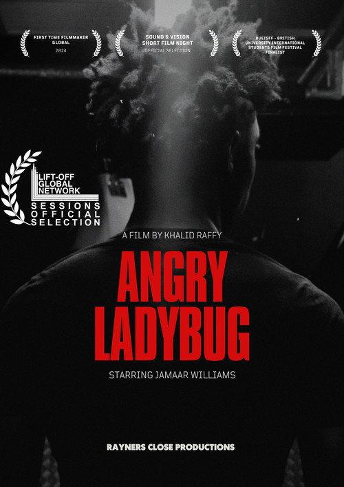 Angry Ladybug 2024 official movie poster