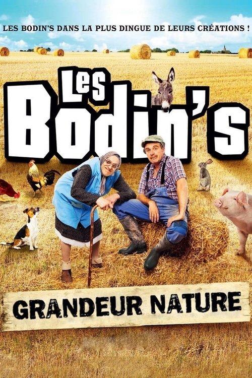 Les Bodin's : Grandeur Nature (@Zenith de Limoges) 2016 official movie poster