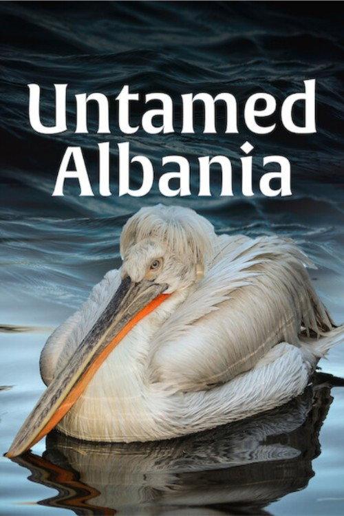 Untamed Albania 2018 official movie poster