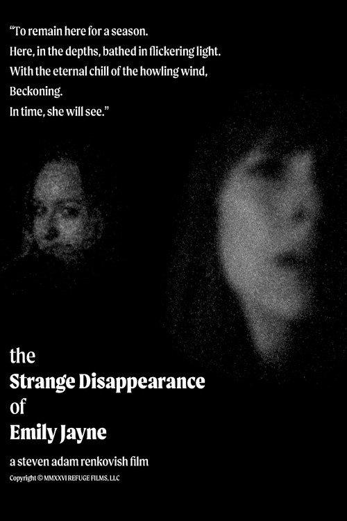 The Strange Disappearance of Emily Jayne  official movie poster