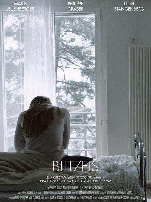 Blitzeis 2012 official movie poster