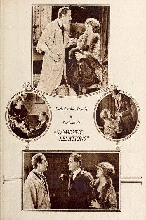 Domestic Relations 1922 official movie poster