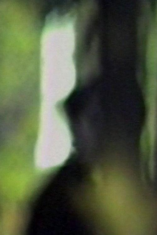 Totem Lesson 1989 official movie poster