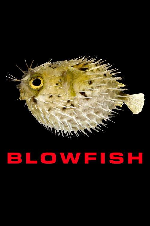 Blowfish 2026 official movie poster