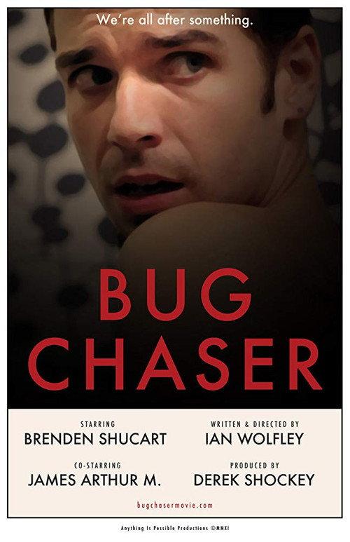 Bug Chaser 2012 official movie poster