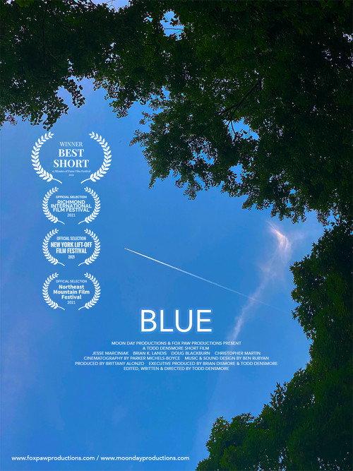 Blue 2020 official movie poster