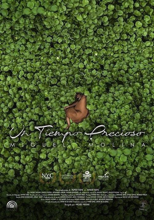 Un tiempo precioso 2020 official movie poster