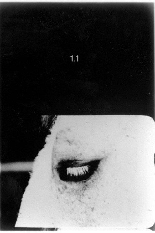 Pocket Cinema - The Catalogue 1996 official movie poster