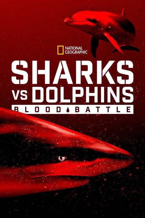 Sharks vs. Dolphins: Blood Battle 2020 official movie poster