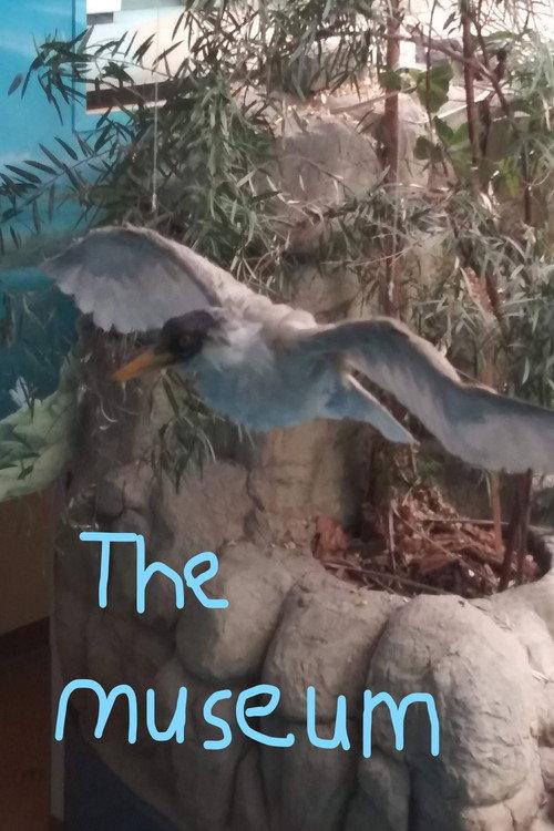 The Museum 2023 official movie poster