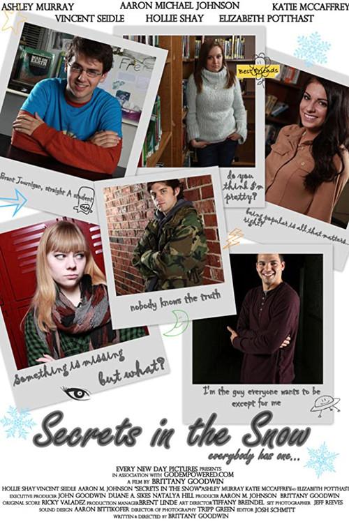 Secrets in the Snow 2013 official movie poster