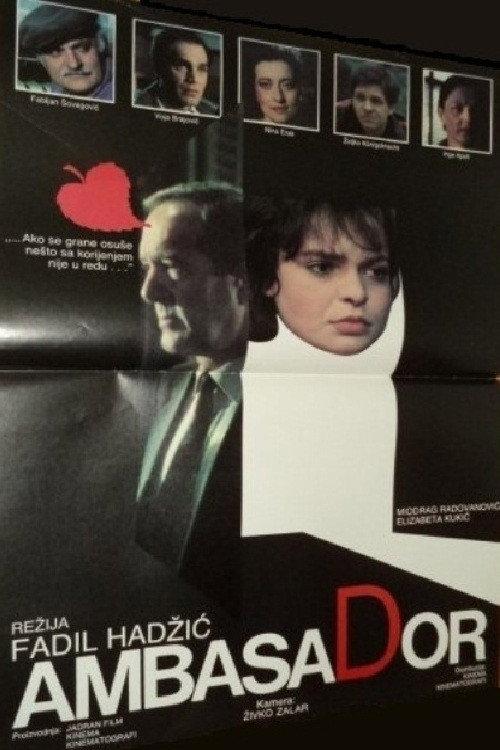 The Ambassador 1984 official movie poster