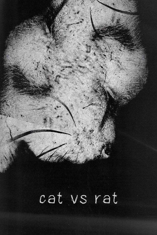 cat vs rat  official movie poster
