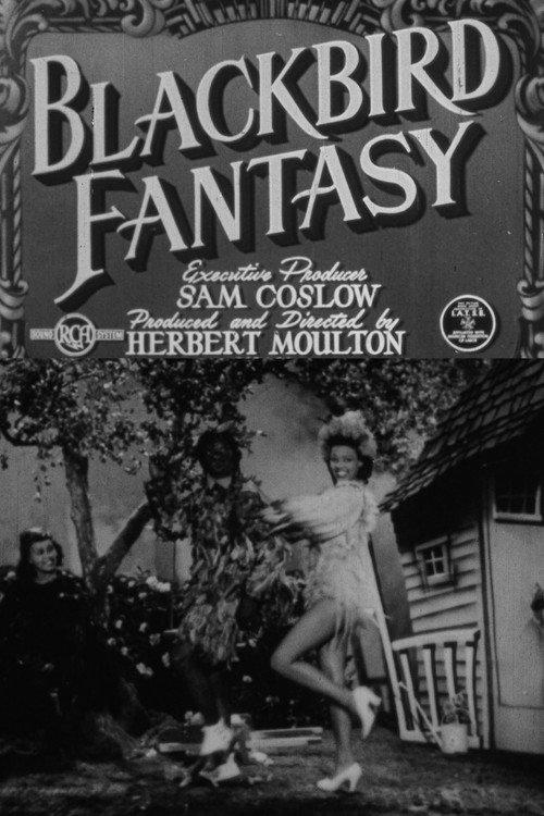 Blackbird Fantasy 1942 official movie poster
