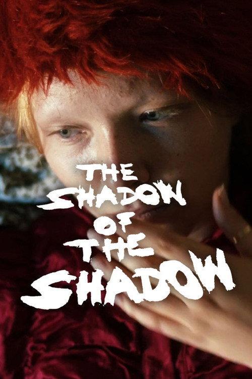 The Shadow of the Shadow 2022 official movie poster