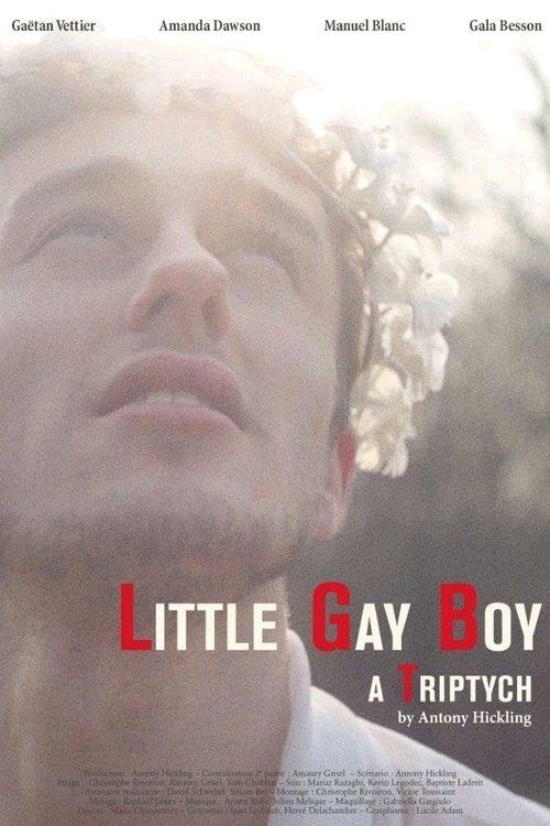 Little Gay Boy 2013 official movie poster