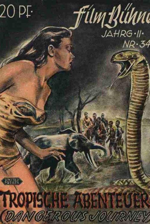 Dangerous Journey 1944 official movie poster