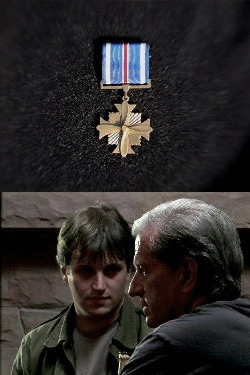 Distinguished Flying Cross 2011 official movie poster