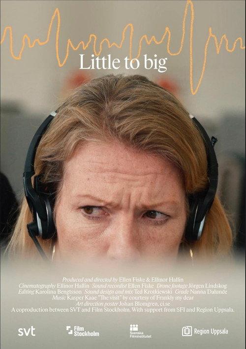Little to Big 2022 official movie poster