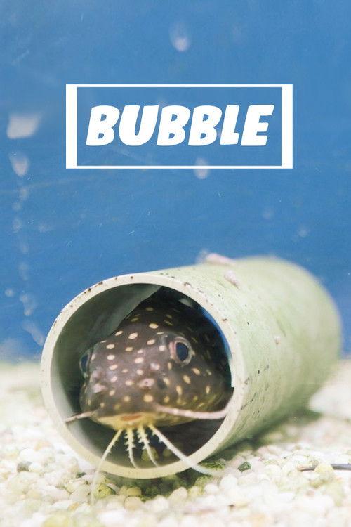 Bubble 2020 official movie poster