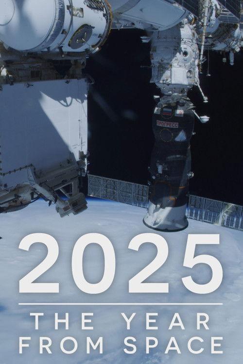 2025: The Year from Space 2026 official movie poster