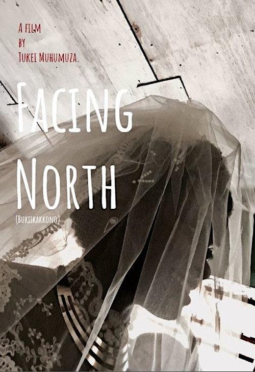Facing North 2018 official movie poster
