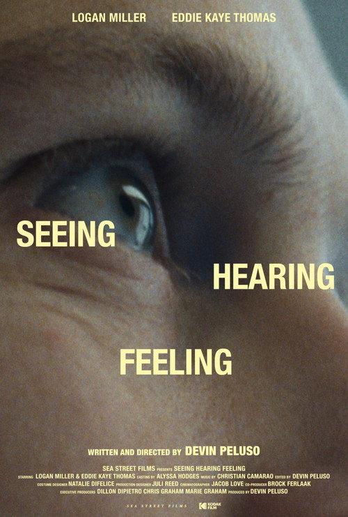 Seeing Hearing Feeling 2025 official movie poster