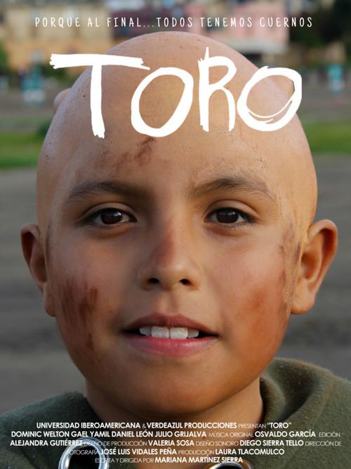 TORO 2019 official movie poster